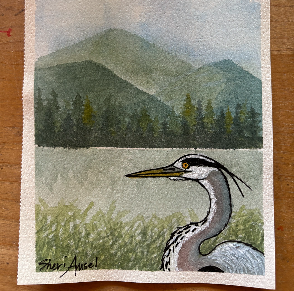 Watercolor Painting Class