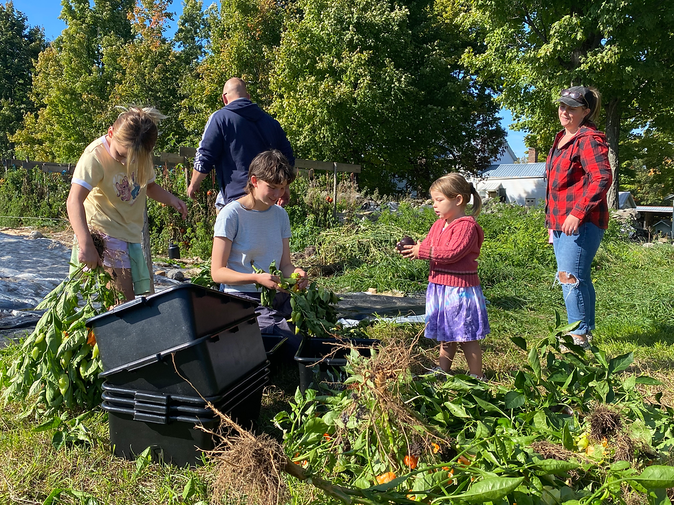 Free Visit to Sand River Community Farm