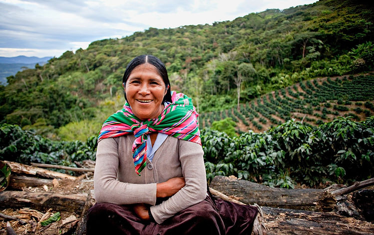 Cultivo yungas.jpg