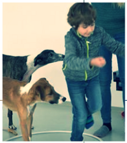 TIERISCH WAS LOS