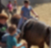 Kinder Stärken Pferde Stärken Therapie Pferd Flaxi
