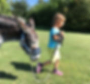 Kinder Stärken, Pferde Stärken, Esel Lotti, Therapizentrum Gramatneusiedl