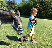Kinder Stärken, Pferde Stärken, Esel Lotti, Therapizentrum Gramatneusiedl