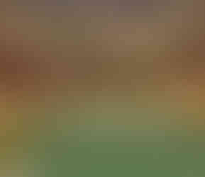 Termas del Jordán, Jujuy