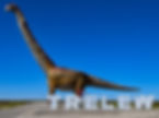 Qué hacer en Puerto Madryn