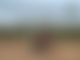 Colón (Entre Ríos) con niños