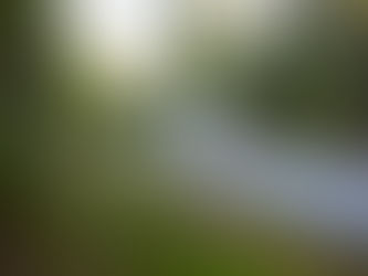 ¿Cómo ofrecer viajes en caravana a sus clientes?