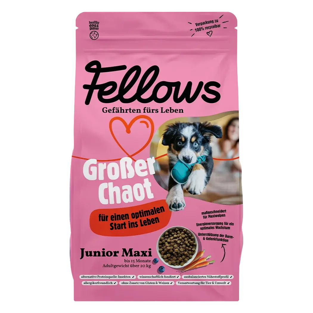 Junior maxi Cibo secco cuccioli e cani giovani Taglia grande