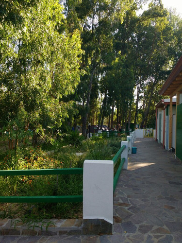 Camping Ortus de Mari — photo 4