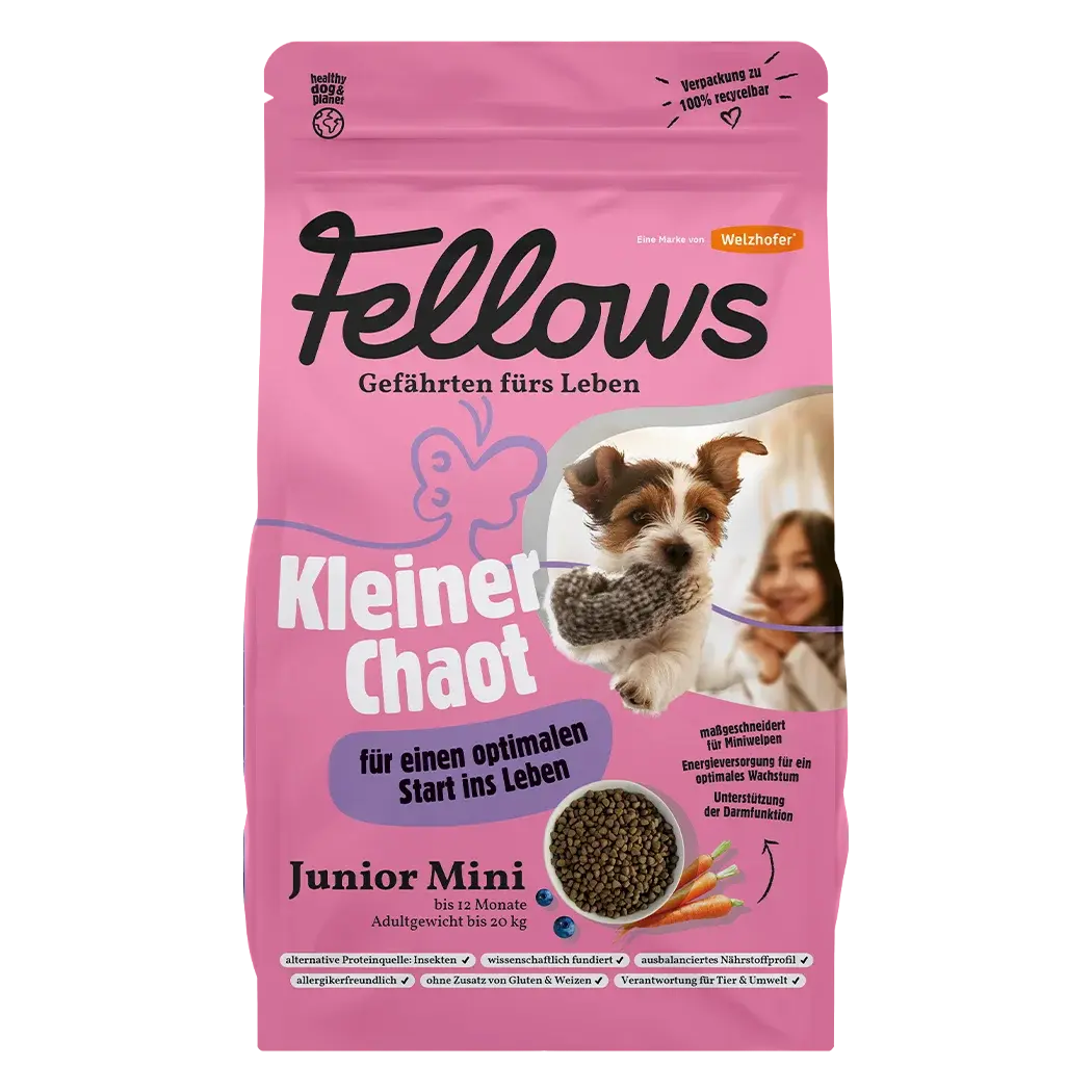 Junior mini Cibo secco cuccioli e cani giovani Taglia piccola