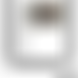 Via Querinissima - Il Resto Del Carlino