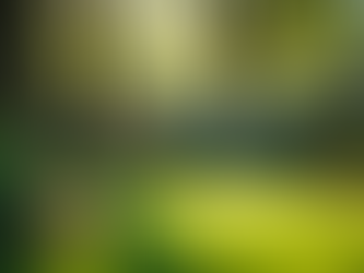 How to Prepare Your Memphis Home and Trees for Storms and Severe Weather