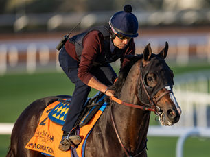 Speed, Stamina, Marquee Names, and Win and You’re In Berths for the Breeders' Cup