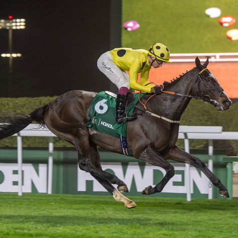 Royal Champion se hace grande a los 8 años y conquista el Neom Turf Cup