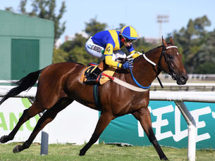 Garboso Frank Prevails Over Beauty Sea Again in a Potential Race of the Year Candidate