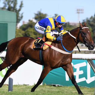 Garboso Frank pudo otra vez con Beauty Sea, en un clásico candidato a Carrera del Año