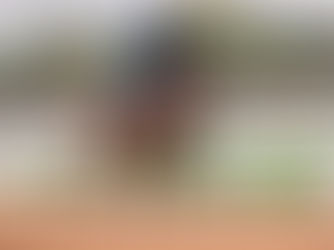 Satono Voyage, hijo de la crack brasileña Jolie Olímpica, va por el Saudi Derby