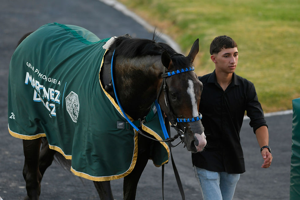 Full Keynote dio positivo en el Martínez de Hoz y ahora esperan por la contraprueba