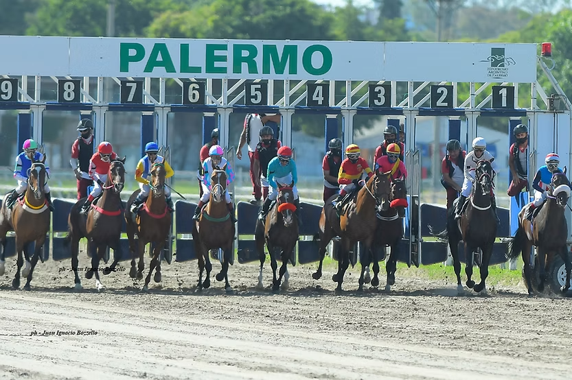 Selecciones DOMINGO 14/12 Hipódromo de Palermo