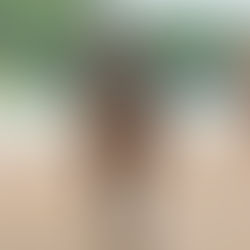 Lost Beach no dejó pasar la oportunidad y se quedó con el Especial Perrier