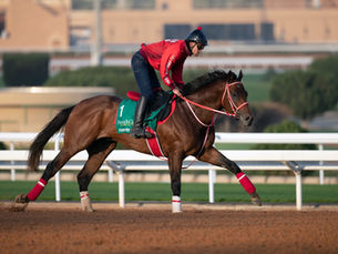 Yoshito YaHagi y Forever Young regresan a Riyadh por un triunfo histórico