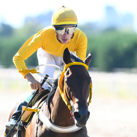 Embozada Rim salió de perdedora en el Casares, como Pousse en 1994