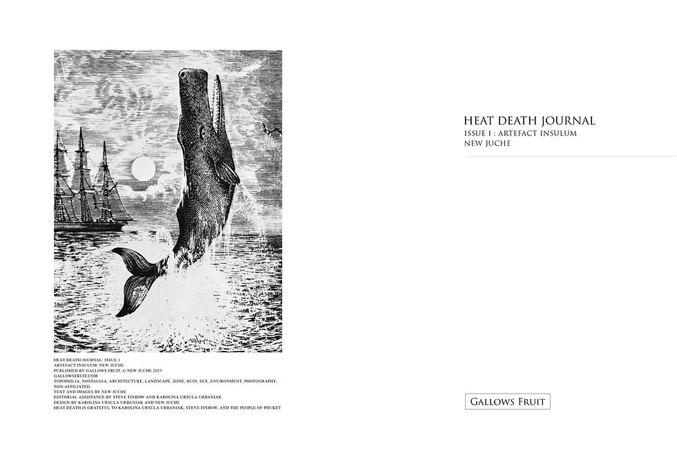 Thumbnail: HEAT DEATH – ISSUE 1: Artefact Insulam