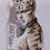 Thumbnail: Taylor Swift from Cats, by Aaron Lange