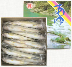 香魚 JP28 商品照片