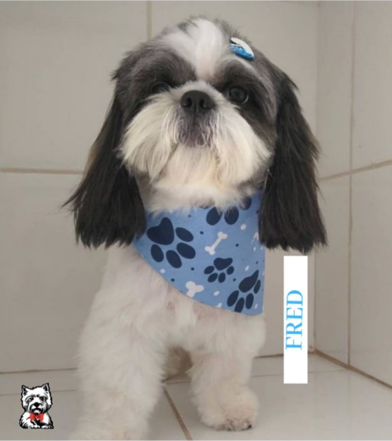 Miniaturbild: Dog Bandanas pack with 50 in sizes Small, Medium, and Large