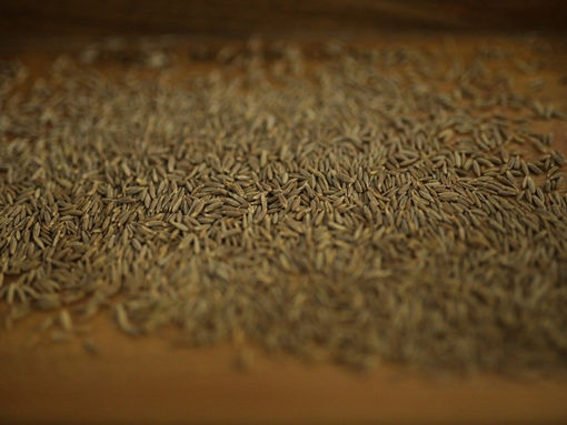 CUMIN - Aiding in Cancer Treatment