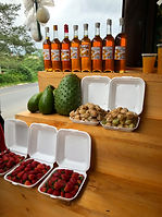 Roadside fruit stand in Costa Rica