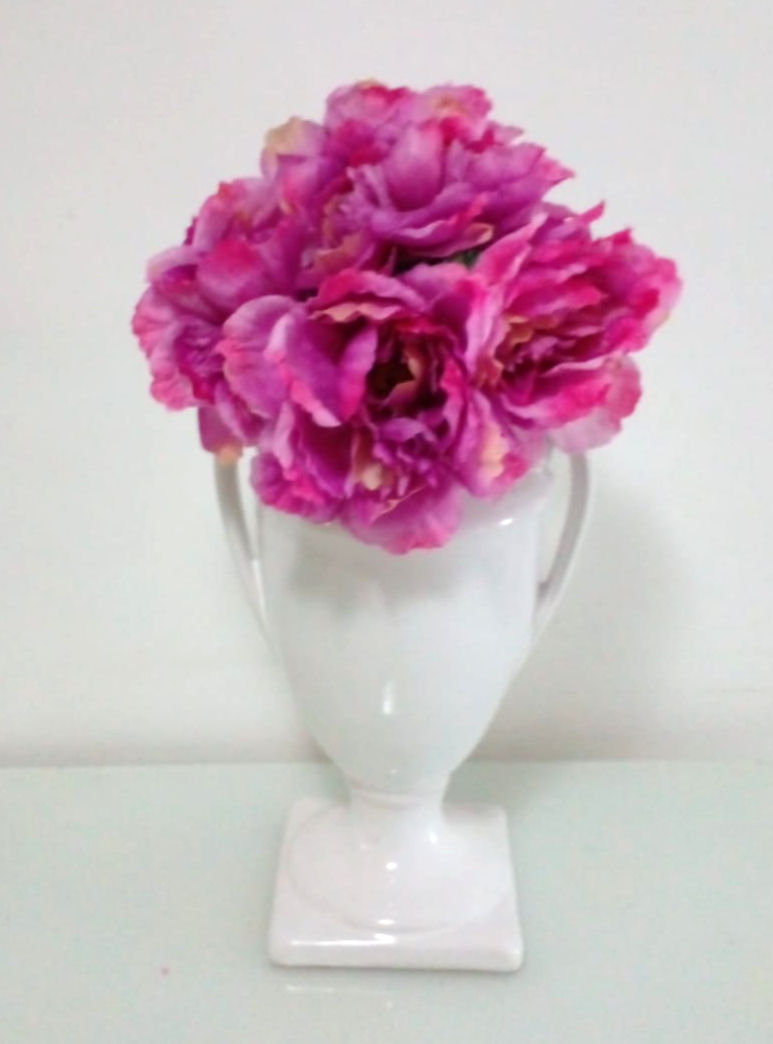 Miniatura: Flores Hastes