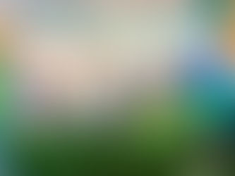 The Ultimate Multi-Sports Kids’ Birthday Experience