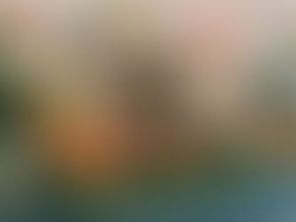 Dinosaur Adventure Party at the Mandarin Oriental Hyde Park