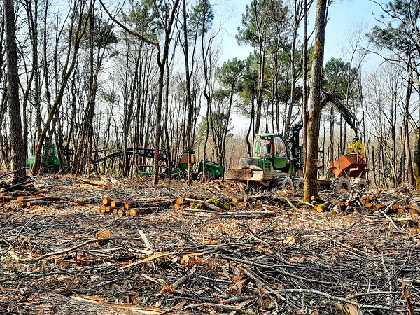 ENTRETIENS PARCS DORDOGNE BOIS DE CHAUFFAGE