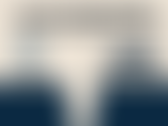 The Vision-Execution Gap: Organizational and Human Barriers Preventing AI Scaling in Maritime Operations