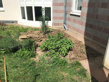 Rückzugsort im Ballungsgebiet