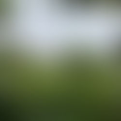 Are you feeling overwhelmed yet still pushing yourself? 