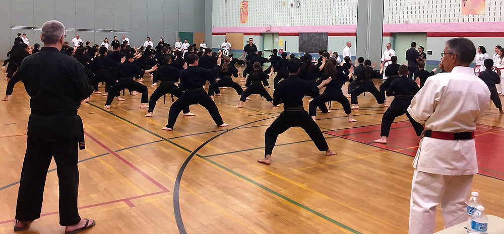 Hand Riel Dojo Equality...and other tales from the dojo