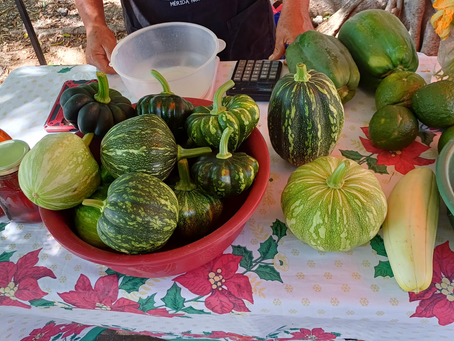 Primer encuentro de productoras del Mayab