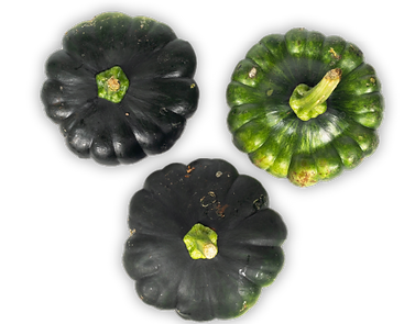 calabaza-kuumArtboard 7_4x.png