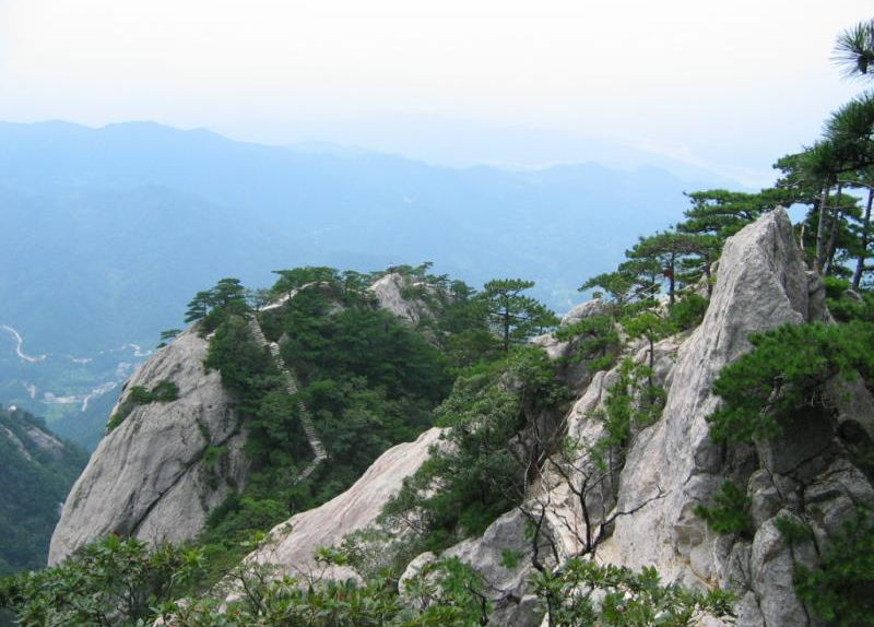 Tai Chi Green Tea Contact Us