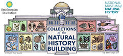 Collections of the Natural History Building