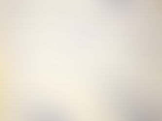 Brainstorming Essay
