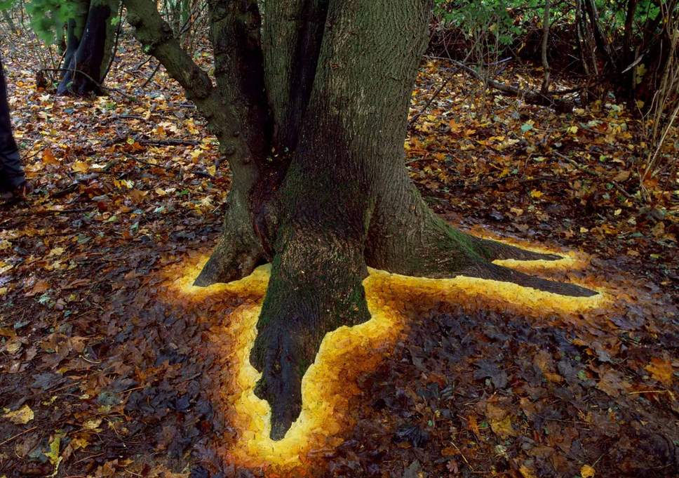 ree