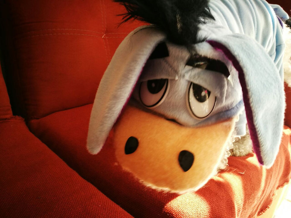 Miniatura: Disfraz de Igor para perro