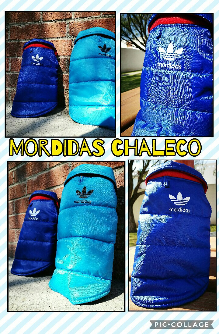 Chaleco Mordidas