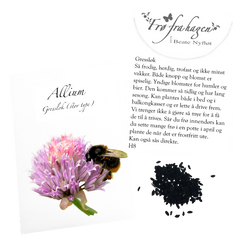 35 Allium Gressløk FRØKONVOLUTT