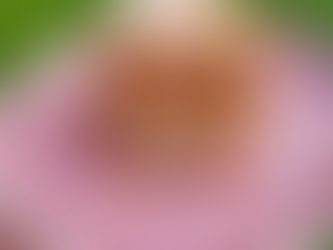 Crocs monsieur avec des aubergines🍆